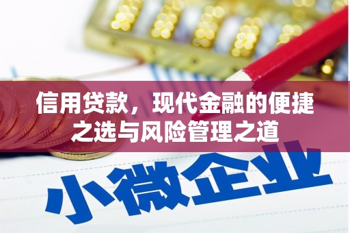 平顶山信用贷款，现代金融的便捷之选与风险管理之道