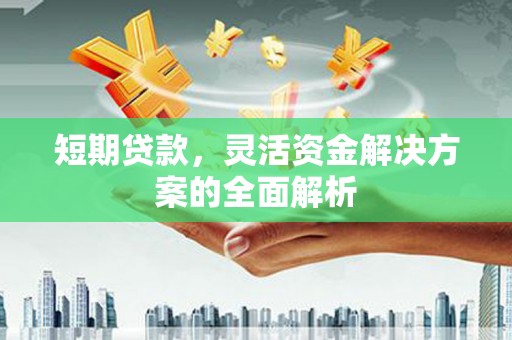 平顶山短期贷款，灵活资金解决方案的全面解析