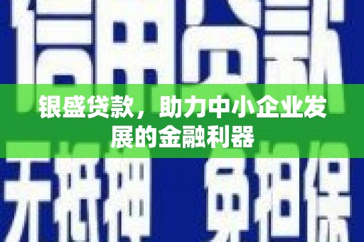 平顶山银盛贷款，助力中小企业发展的金融利器