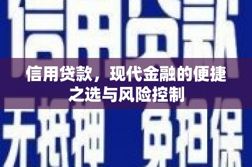 平顶山信用贷款，现代金融的便捷之选与风险控制