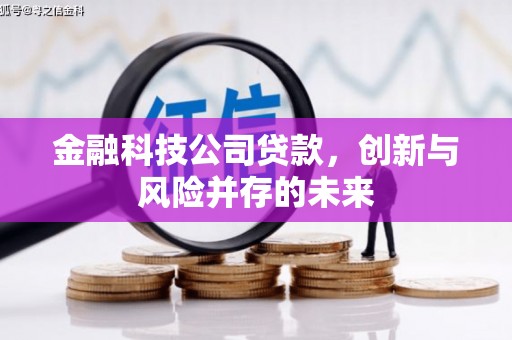 平顶山金融科技公司贷款，创新与风险并存的未来