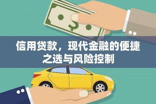 平顶山信用贷款，现代金融的便捷之选与风险控制