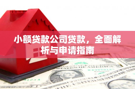 平顶山小额贷款公司贷款，全面解析与申请指南