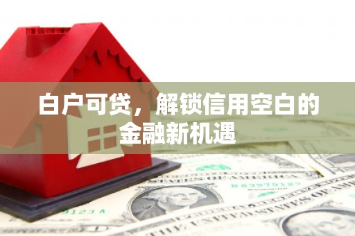 平顶山白户可贷，解锁信用空白的金融新机遇