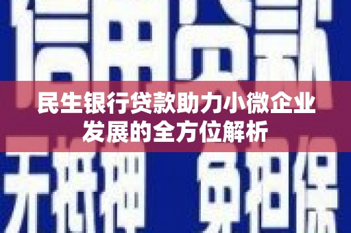 平顶山民生银行贷款助力小微企业发展的全方位解析