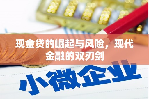 平顶山现金贷的崛起与风险，现代金融的双刃剑