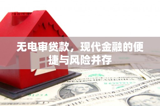 平顶山无电审贷款，现代金融的便捷与风险并存