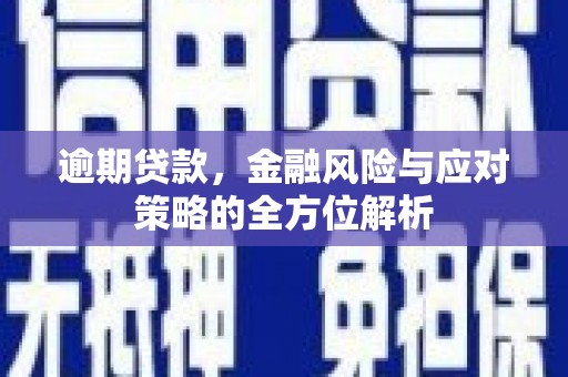 平顶山逾期贷款，金融风险与应对策略的全方位解析