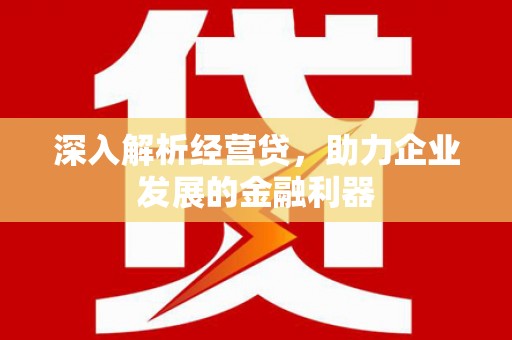 平顶山深入解析经营贷，助力企业发展的金融利器