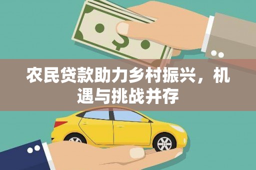 平顶山农民贷款助力乡村振兴，机遇与挑战并存