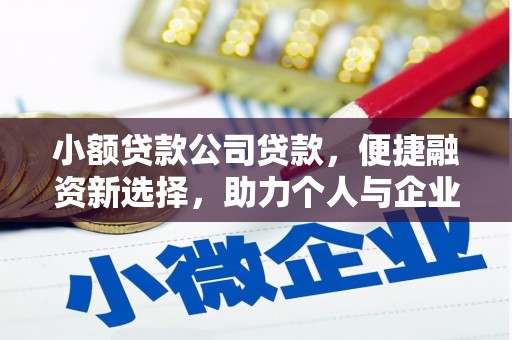 平顶山小额贷款公司贷款，便捷融资新选择，助力个人与企业成长