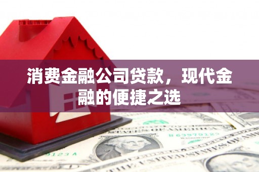 平顶山消费金融公司贷款，现代金融的便捷之选