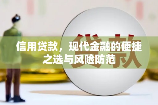 平顶山信用贷款，现代金融的便捷之选与风险防范