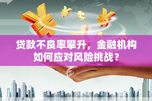 平顶山贷款不良率攀升，金融机构如何应对风险挑战？