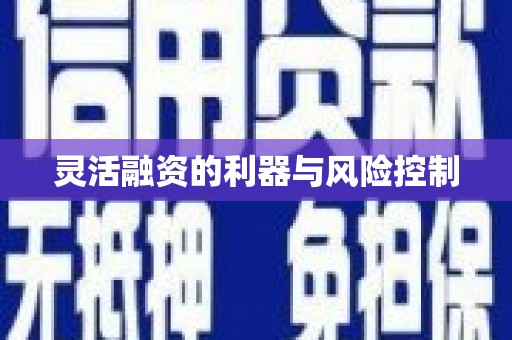 平顶山灵活融资的利器与风险控制