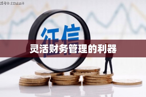 平顶山灵活财务管理的利器