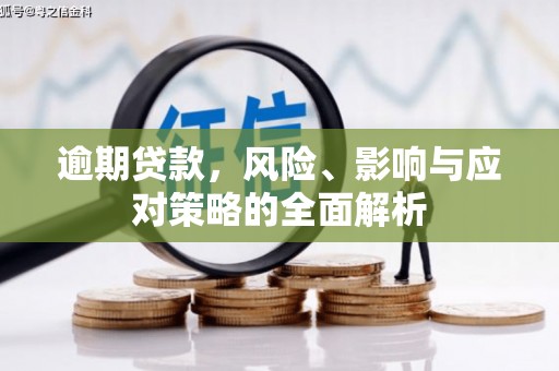 平顶山逾期贷款，风险、影响与应对策略的全面解析