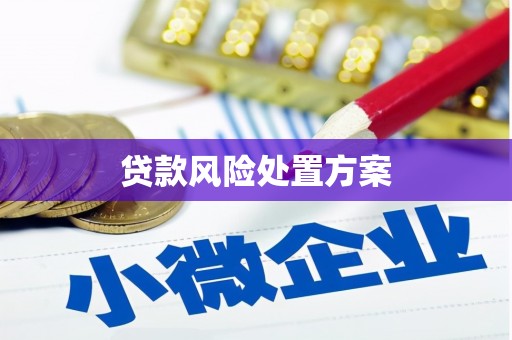 平顶山贷款风险处置方案
