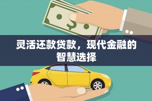 平顶山灵活还款贷款，现代金融的智慧选择