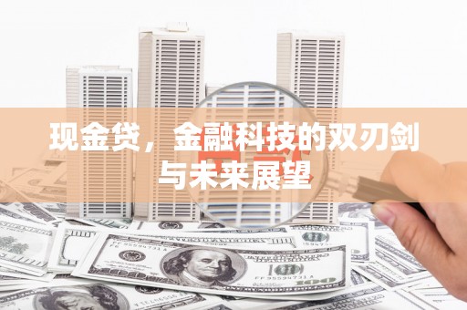 平顶山现金贷，金融科技的双刃剑与未来展望