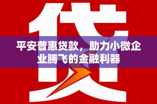 平顶山平安普惠贷款，助力小微企业腾飞的金融利器