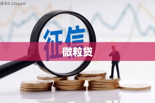 平顶山微粒贷