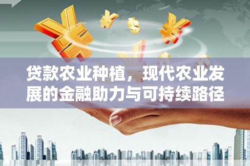 平顶山贷款农业种植，现代农业发展的金融助力与可持续路径