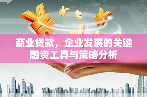 平顶山商业贷款，企业发展的关键融资工具与策略分析