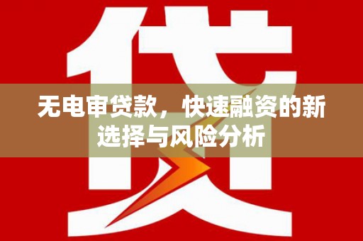 平顶山无电审贷款，快速融资的新选择与风险分析