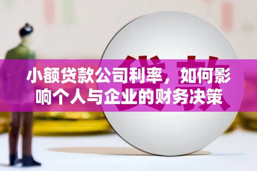 平顶山小额贷款公司利率，如何影响个人与企业的财务决策