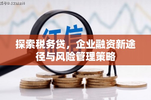 平顶山探索税务贷，企业融资新途径与风险管理策略
