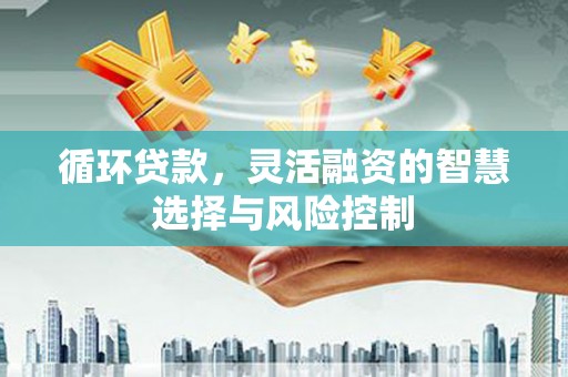 平顶山循环贷款，灵活融资的智慧选择与风险控制