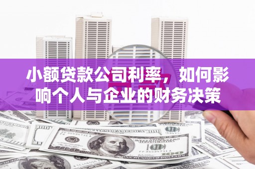 平顶山小额贷款公司利率，如何影响个人与企业的财务决策