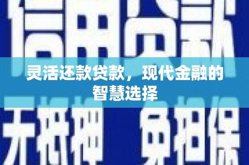 平顶山灵活还款贷款，现代金融的智慧选择