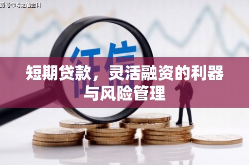 平顶山短期贷款，灵活融资的利器与风险管理