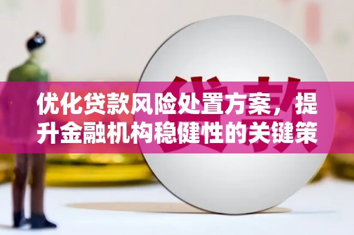 平顶山优化贷款风险处置方案，提升金融机构稳健性的关键策略