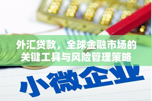 平顶山外汇贷款，全球金融市场的关键工具与风险管理策略