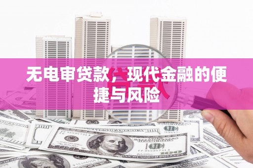 平顶山无电审贷款，现代金融的便捷与风险