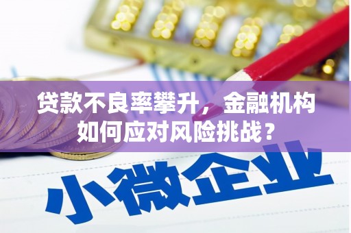 平顶山贷款不良率攀升，金融机构如何应对风险挑战？