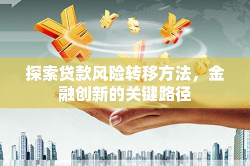 平顶山探索贷款风险转移方法，金融创新的关键路径
