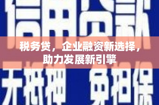 平顶山税务贷，企业融资新选择，助力发展新引擎