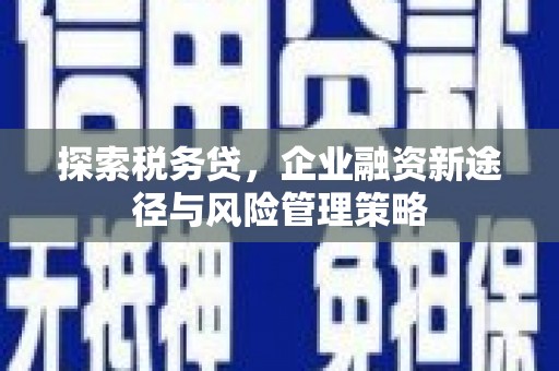 平顶山探索税务贷，企业融资新途径与风险管理策略