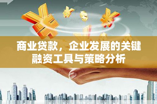 平顶山商业贷款，企业发展的关键融资工具与策略分析