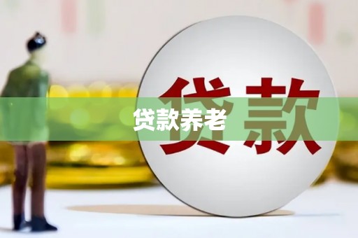 平顶山贷款养老