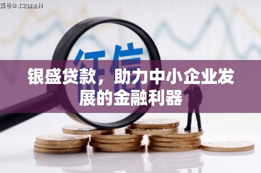 平顶山银盛贷款，助力中小企业发展的金融利器