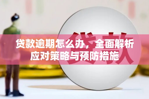 平顶山贷款逾期怎么办，全面解析应对策略与预防措施