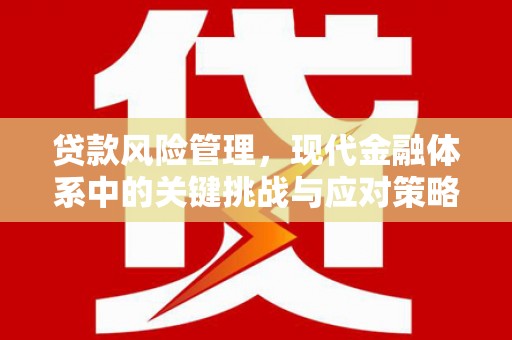 平顶山贷款风险管理，现代金融体系中的关键挑战与应对策略