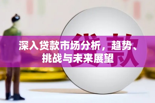 平顶山深入贷款市场分析，趋势、挑战与未来展望