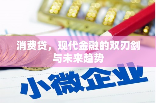 平顶山消费贷，现代金融的双刃剑与未来趋势