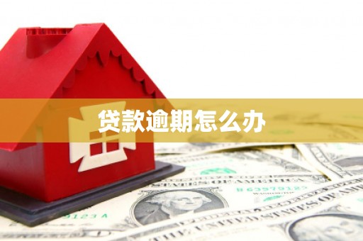 平顶山贷款逾期怎么办
